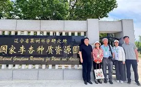 爱游戏娱乐-袠薪褑械褋裈hd